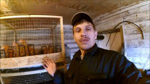 Деревенские будни #17 // Почему куры в клетке, ближайшие планы // Жизнь в деревне