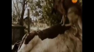 Новейшее оружие - кибервойны.