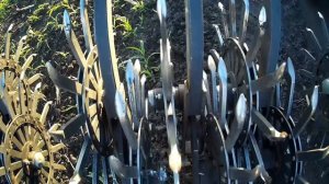 Ротационная борона БМР 5,6 по подсолнуху, МТЗ 82.1