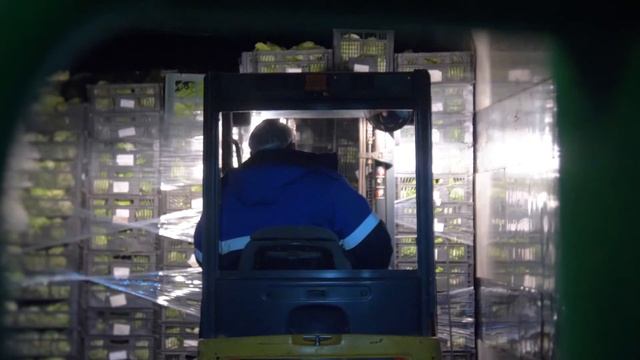 Поставка продукции с полей на наш главный и самый крупный завод (Московская область, г. Котельники)