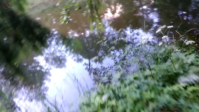 игры в лесу подвижные, туризм смотреть онлайн