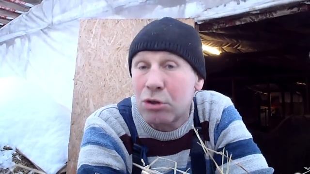 Рацион кормления КРС смотреть онлайн