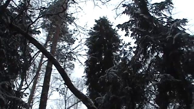 Трудная куница. смотреть онлайн