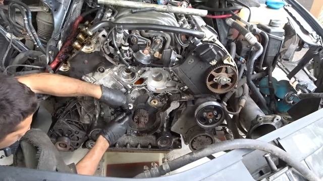 Audi A8 Timing Belt Service On BFM 4.2L Engine