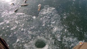 Первый Лёд на Реке ловля окуней .  Активный клёв . Зимняя рыбалка на щуку и окуня