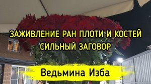 ЗАЖИВЛЕНИЕ РАН ПЛОТИ И КОСТЕЙ. СИЛЬНЫЙ ЗАГОВОР. ДЛЯ ВСЕХ. ВЕДЬМИНА ИЗБА ▶️ ИНГА ХОСРОЕВА
