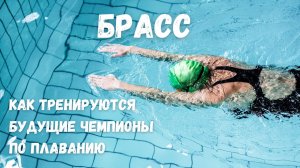 Брасс. Как тренируются будущие чемпионы по плаванию