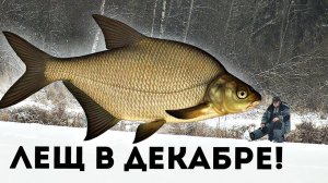 Как ловить леща зимой в декабре? Все тонкости ловли декабрьского леща!!!
