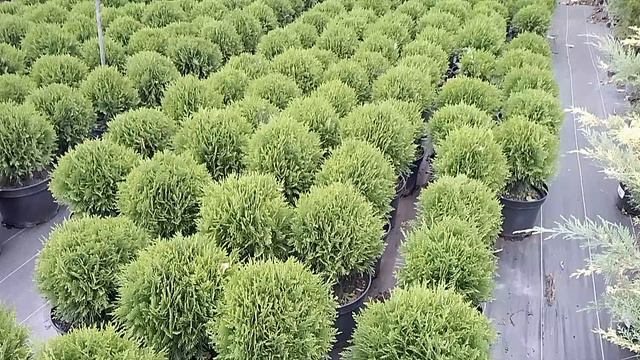 1000076342.mp4 смотреть онлайн