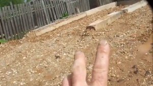 ЭО 2621 работаем как кран