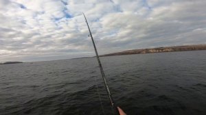 Спиннинг в ноябре на Саратовском вдх. / Щука и судак на джиг/ Поиск хищника на Волге/ Трофейная щук