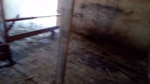 Как построить стойло для коров .