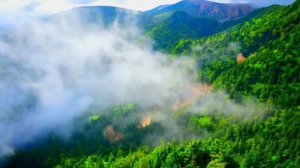 125. Лена Калашникова. Видение " тонкого мира". Вопросы и Ответы. Почему везде осминоги? ...