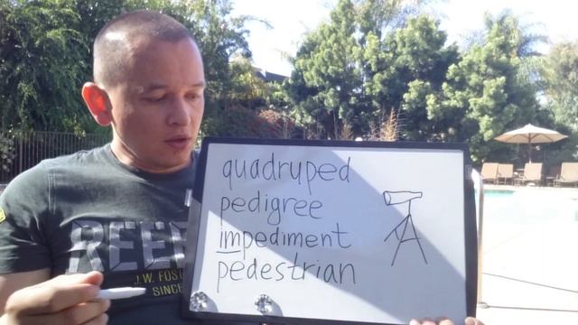 Слова #SAT #TOEFL корень PED: quadruped, pedigree, impediment, pedestrian | #ПОСТУПИТЬвСША