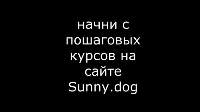 Как пользоваться строгим ошейником