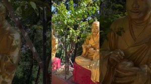 Каждый может стать Буддой. Храм 10.000 Будд в Гонконге. Психологический туризм.