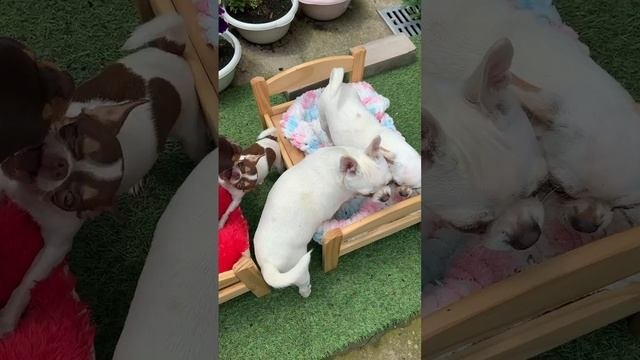 Не хватает кроваток.