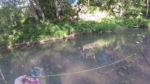 Ловля голавля нахлыстом! Набор с AliExpress.