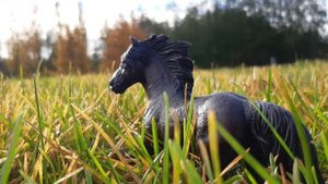 Времена года // Фотографии лошадей Шляйх // Schleich