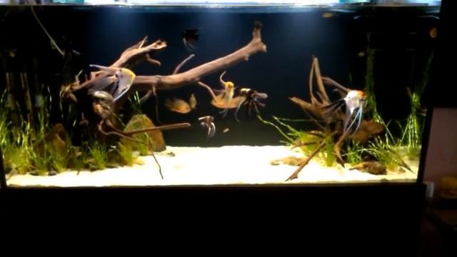 Кварцевый песок в аквариуме смотреть онлайн