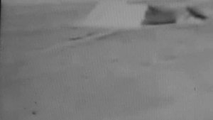 Завещание инженера Гарина.wmv