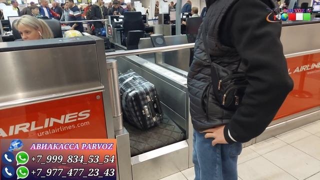 @parvoz_tv АЭРОПОРТ ДОМОДЕДОВО/ПРОВЕРКА ДАР АЭРОПОРТ