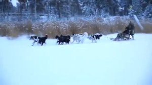 Вокальный ансамбль МВД по респ. Саха (ЯКУТИЯ)
