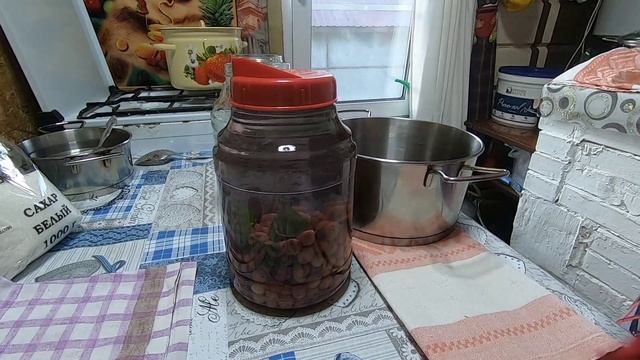 Компот из крыжовника с лимонным базиликом.Gooseberry compote with lemon basil. смотреть онлайн