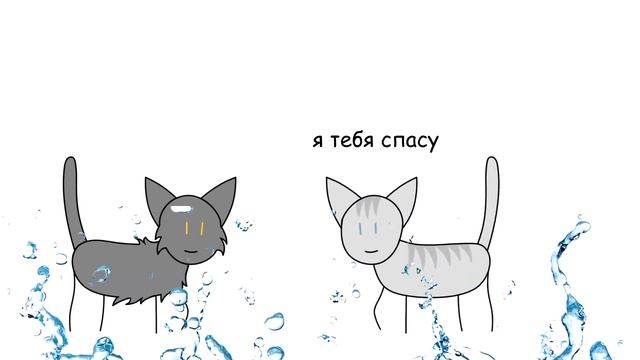 Коты воители первый цикл