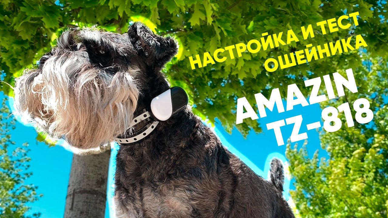 НОВИНКА 2022! Обзор электроошейника AMAZIN TZ818 для дрессировки собак