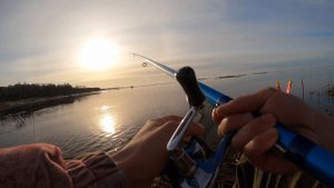 Рыбалка на Черной речке. Зеленогорск. Елец на поплавочную удочку, открыли сезон.