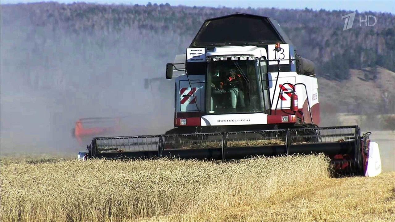 В России ожидается рекордный урожай зерна
