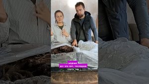 Совместная Закупка Пионов, осень 2024