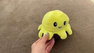 ОСЬМИНОГ -ПЕРЕВЁРТЫШ ОБЗОР ИГРУШКИ С AliExpress / Двусторонний осьминог