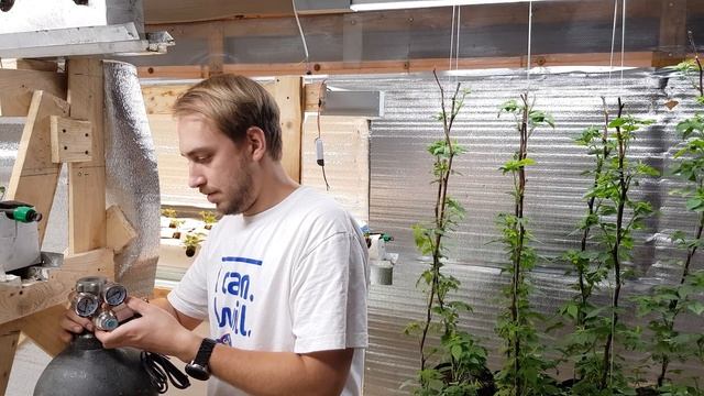 КЛУБНИКА И МАЛИНА ВЫРАЩИВАНИЕ В САРАЕ // ДОЗАТОР СО2, АВТОПОЛИВ смотреть онлайн