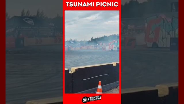 Tsunami Picnic #Shorts