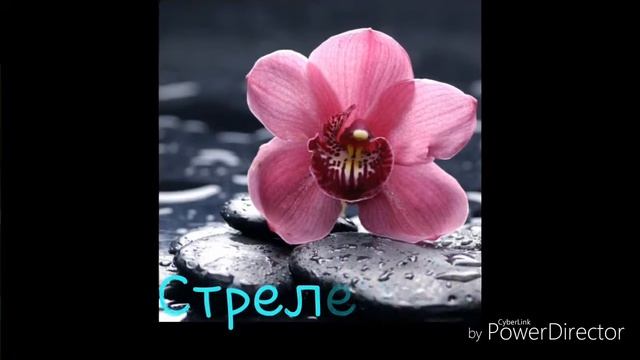 Какой ты цветок по знаку зодиака?? смотреть онлайн