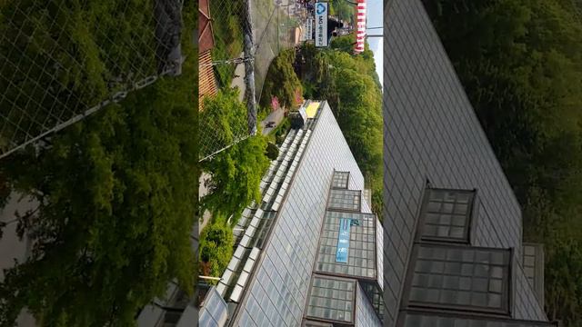 Зоопарк в Сеуле. Канатка . смотреть онлайн