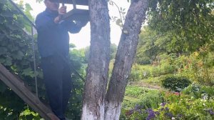 Выкопали картошку! Вот это урожай!!!