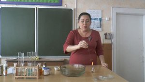 Химия. 7 класс. Признаки химических реакций.