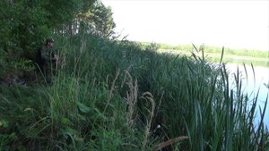 Большая рыбина на поплавок с берега! Вытащил с помощью сапога!.mp4