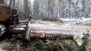 заготовка на тдт 55