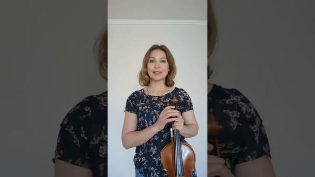 Интересные факты о скрипке