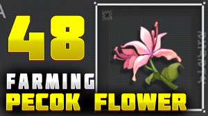 Pecok Flower Wuthering Waves Locations Farming Route