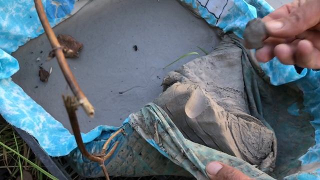 ? Большая экскурсия по Гончарной Мастерской Александр Заборских Волшебство керамики