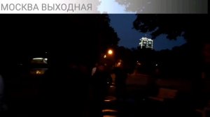 Москва 521 осенью на березовой роще вечером в сквере мини-парке березовая роща