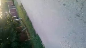 Красная.  Нива