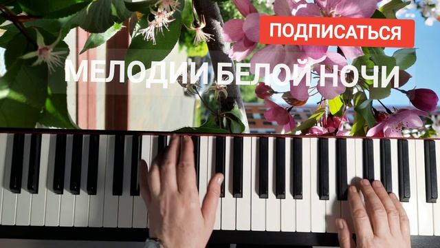 МЕЛОДИИ БЕЛЫХ НОЧЕЙ И.ШВАРЦ ПОДРОБНЫЙ РАЗБОР НА ПИАНИНО #урокпианино #обучениефортепиано