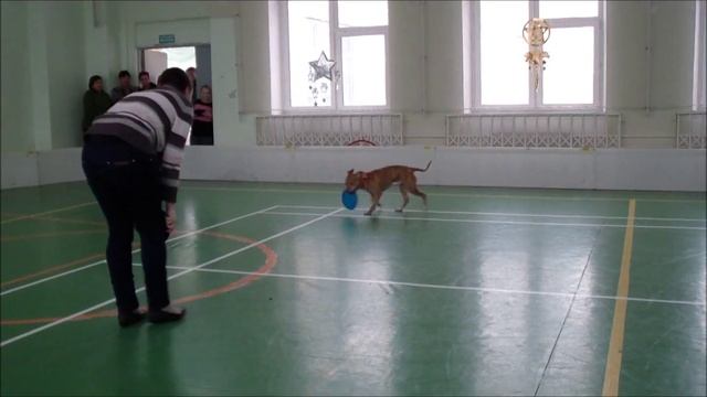 Показательные в интернате. Ольга и Динамит.mp4