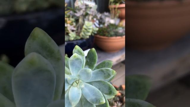 September 21, 2020 смотреть онлайн